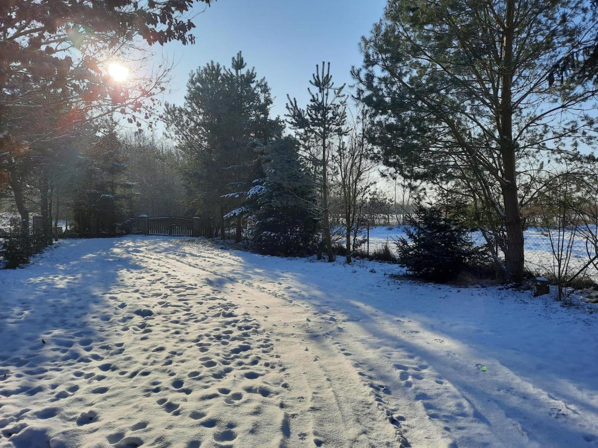 Dworska Zagroda Farm stay