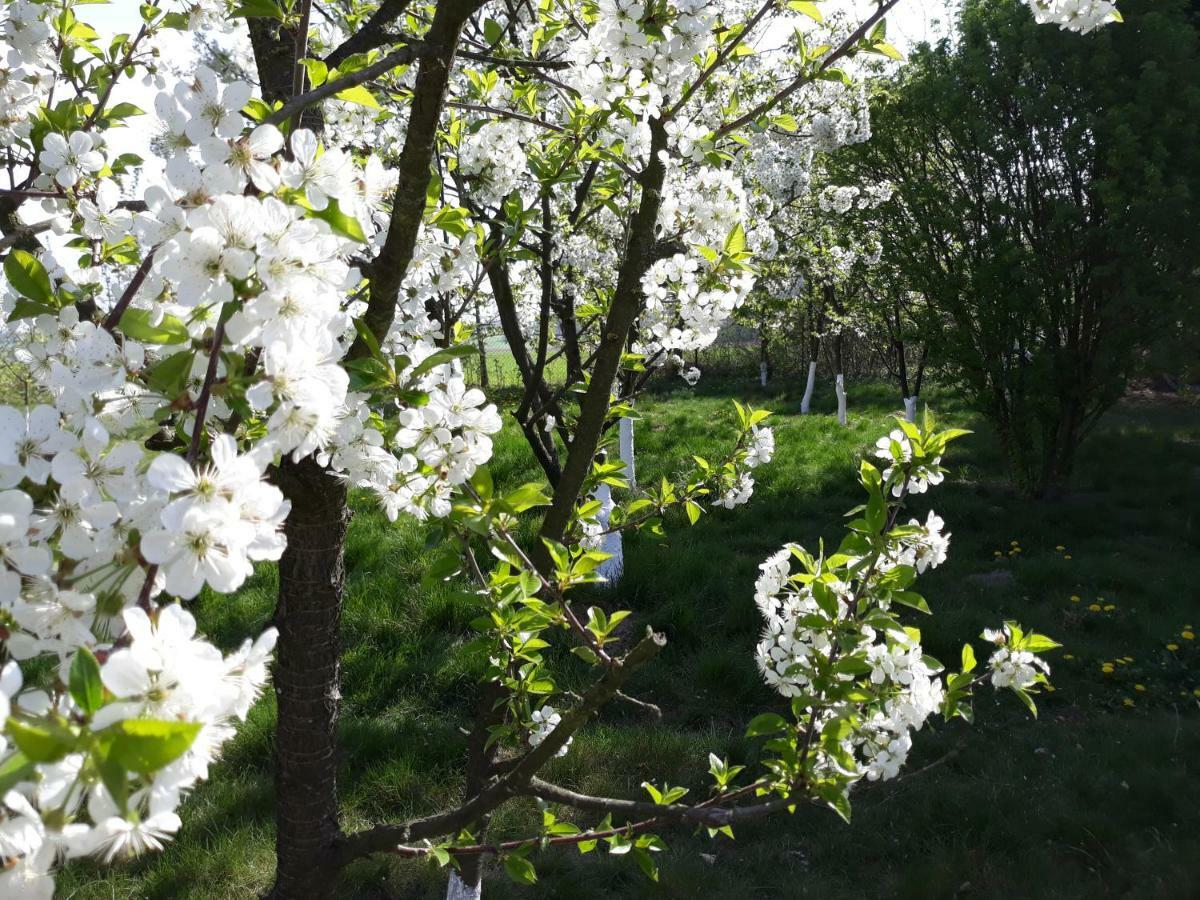 Farm stay Dworska Zagroda