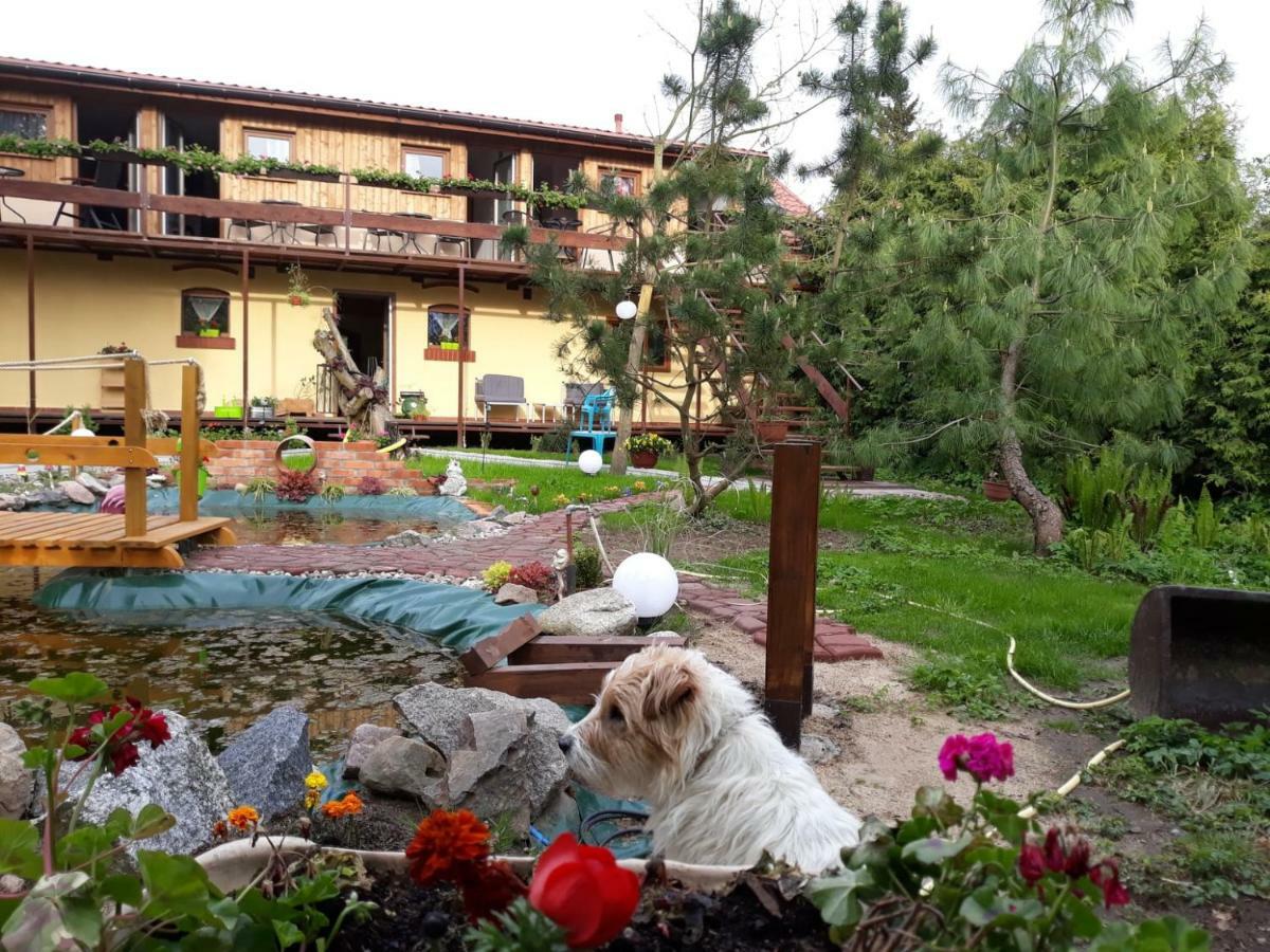 Farm stay Dworska Zagroda