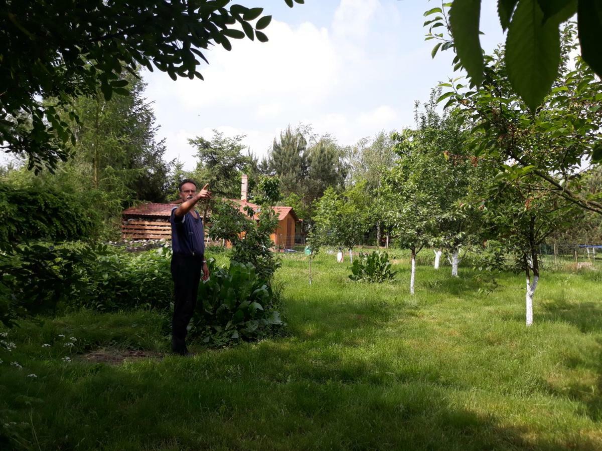 Farm stay Dworska Zagroda Korytowo